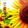 introduction_to_flowers_by_D.jpg