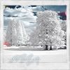 lost_paradise_by_D.jpg