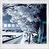 the_blue_season_by_D.jpg