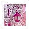 Pink_lantern.jpg