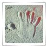 fingerprint_file.jpg