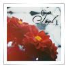 flowers_I.jpg