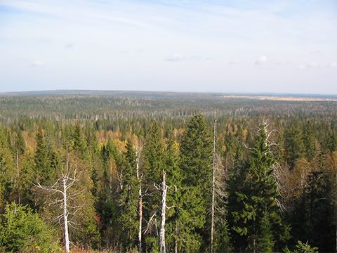 photo11_by_D.jpg
