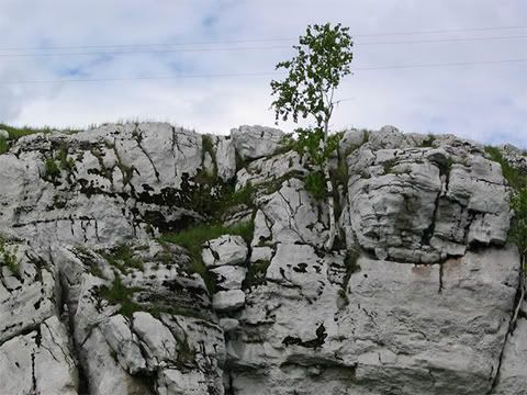 photo3_by_D.jpg