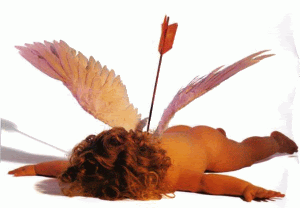 Cupid Got Shot