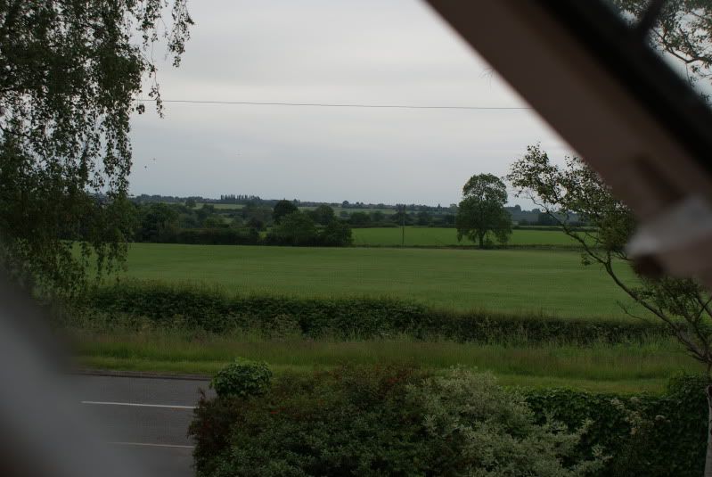 DSC01234.jpg