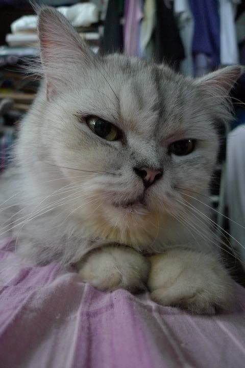 Forum Image: http://i41.photobucket.com/albums/e275/sedusukun/twix-1.jpg