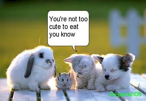 CuTe AnD fUnNy AnImAls   Page 11   U2 Feedback