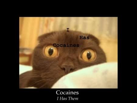 CocaineCat.jpg
