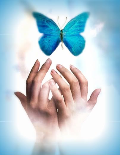 Fly Away Pictures, Images and Photos