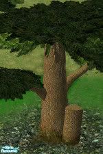 treehouse.jpg