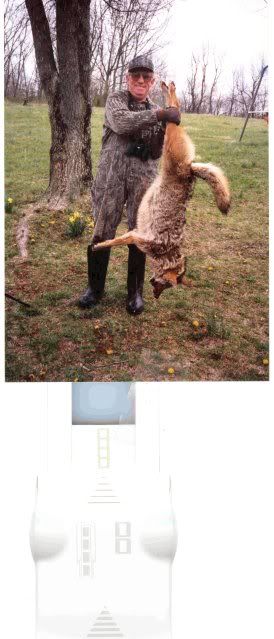 56lbMale-Headshotjpgpsp.jpg