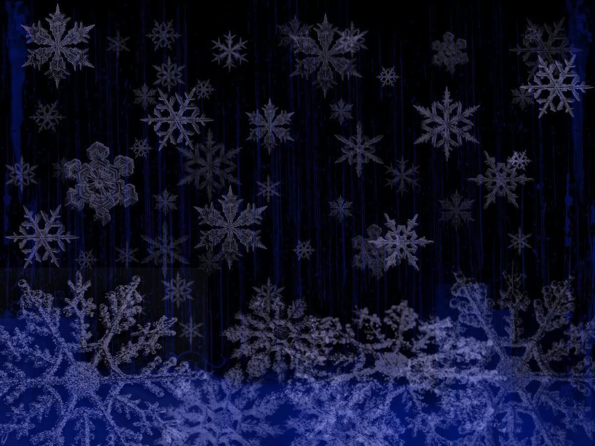 Winter Background Pictures, Images and Photos