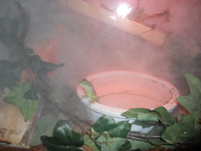 014-20.jpg