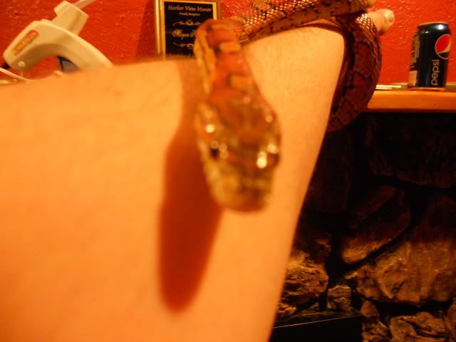 022-7.jpg