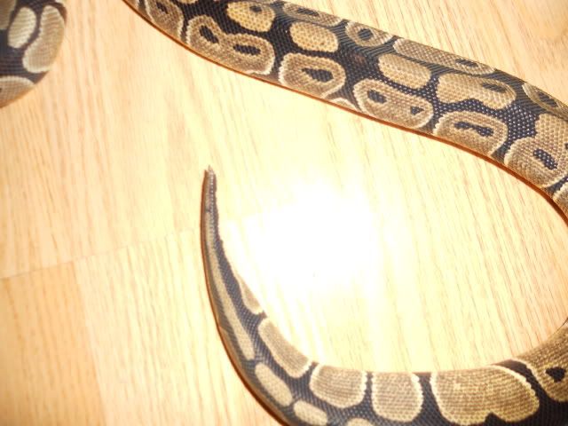 051.jpg