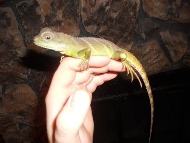 080.jpg