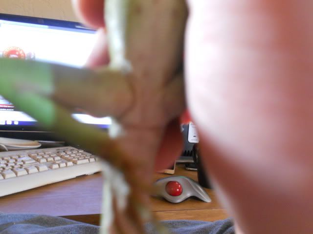 089.jpg
