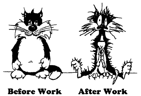 BeforeWorkAfterWork.gif