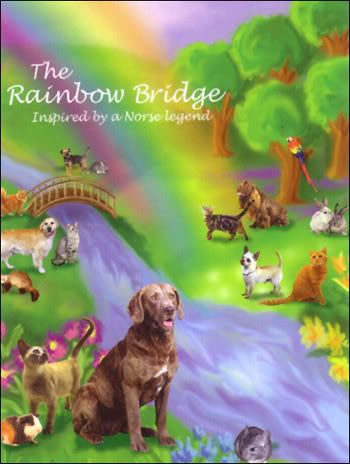 rainbowbridge_sm.jpg