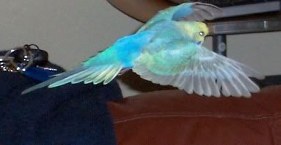 100_0034.jpg