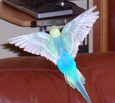 100_0036.jpg