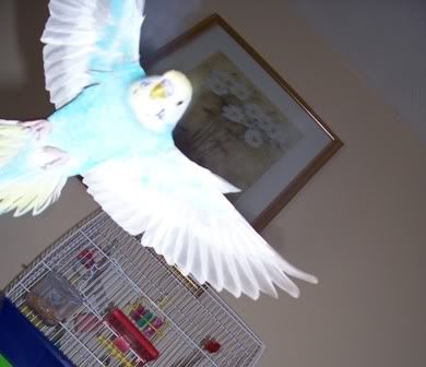 100_0182.jpg