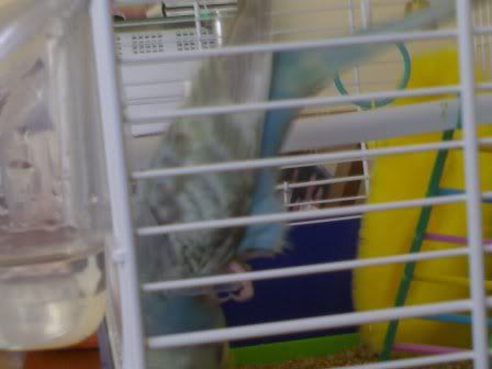 11052006125.jpg