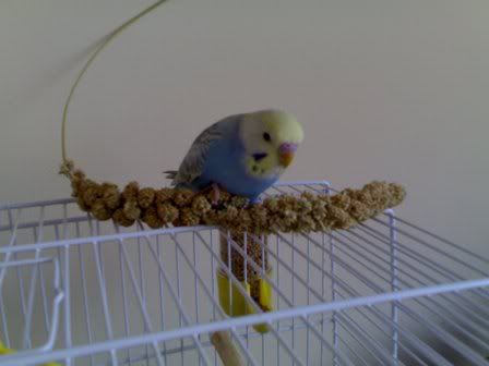 13052006131.jpg