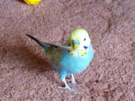 19092006196.jpg