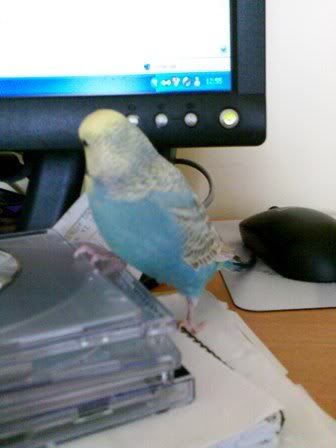 Image014.jpg