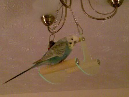 Image051.jpg