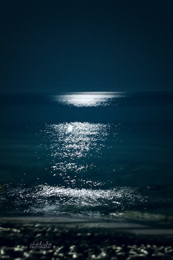 mare di sera notte