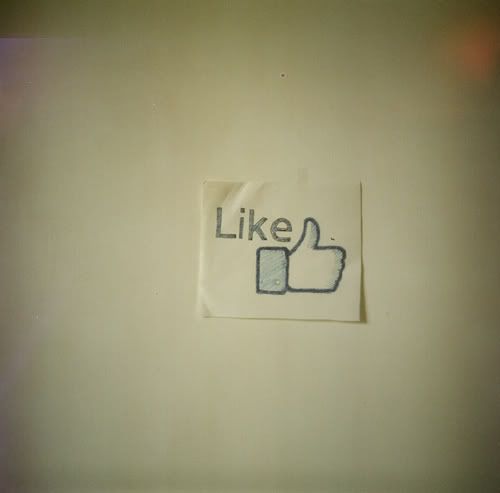 facebook like button lomography lomo lubitel