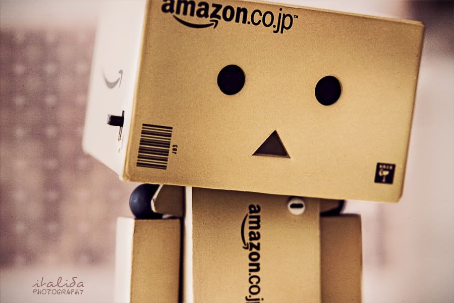 Danbo Pink