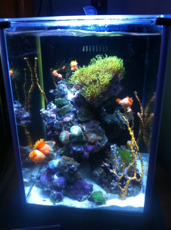 900A286F 4D71 4DF6 B288 C84B3D65DD54 9423 000011E534B81206_zps306362e0