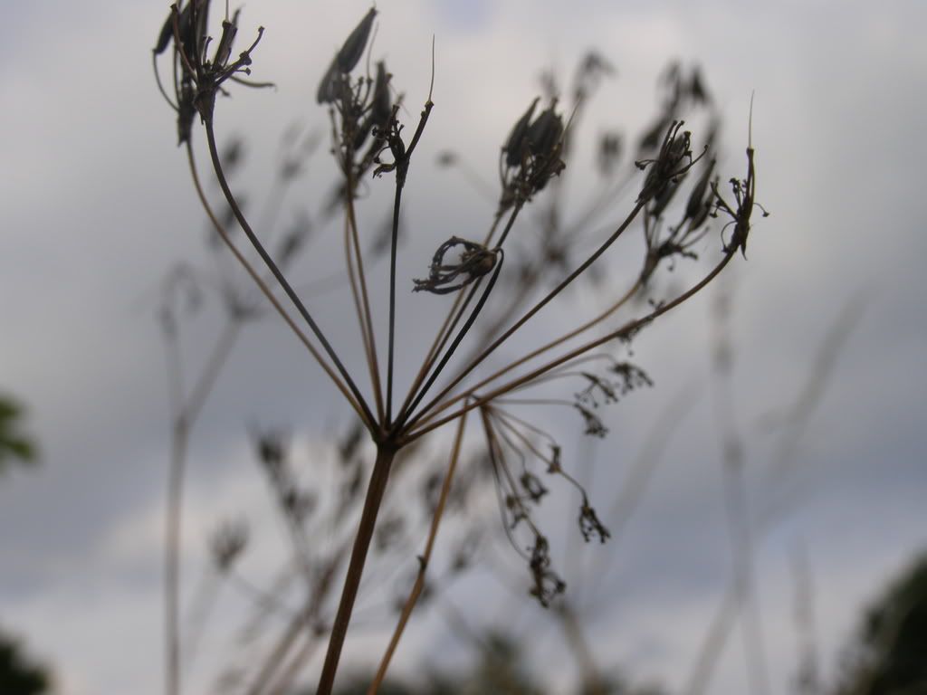 P7150011.jpg snobby.blog.cz picture by wevasek P7150011.jpg snobby.blog.cz picture by wevasek