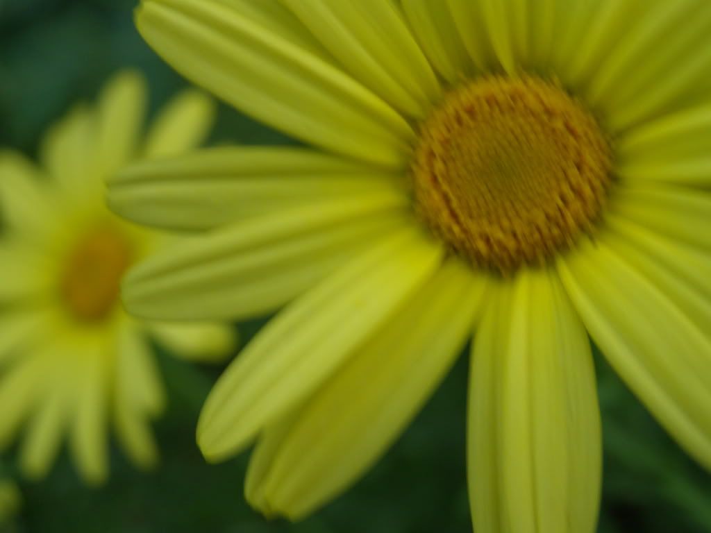 P7150061.jpg snobby.blog.cz picture by wevasek P7150061.jpg snobby.blog.cz picture by wevasek