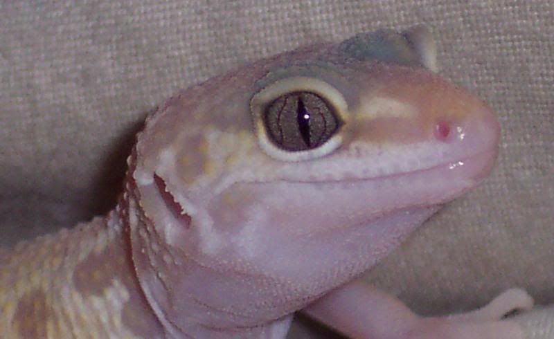 Prettyeyes.jpg