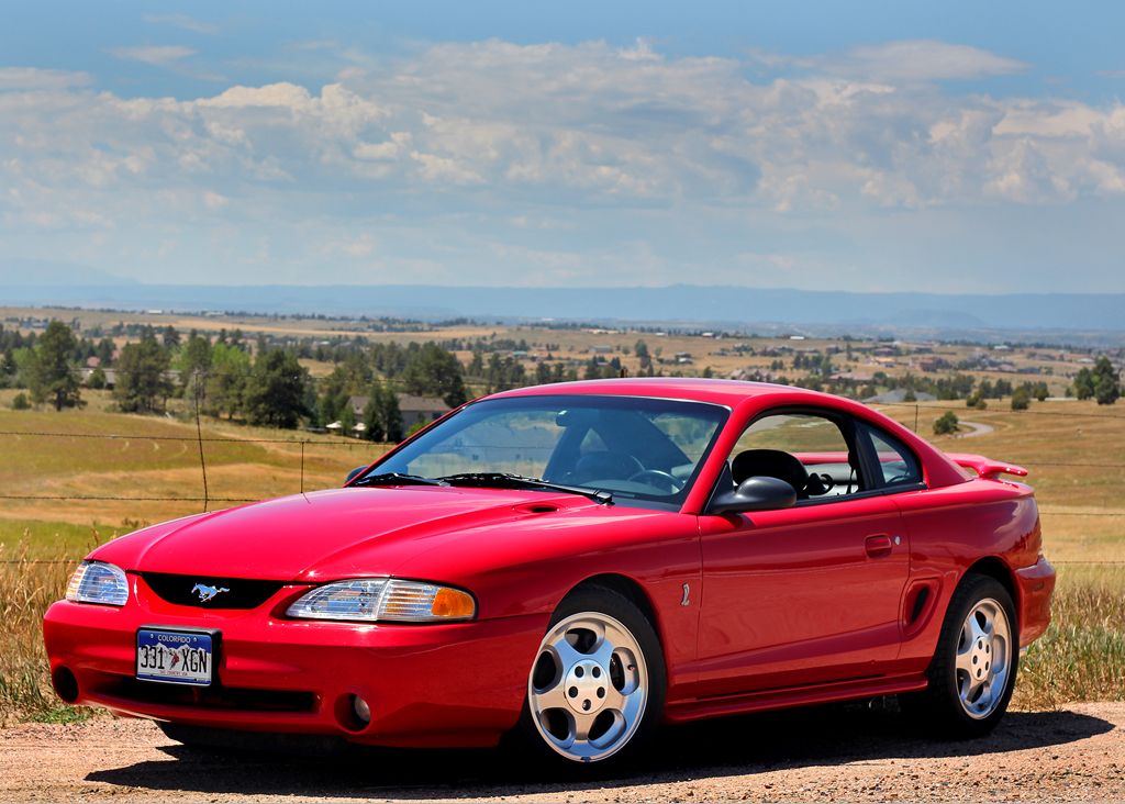 IMAGE: http://i41.photobucket.com/albums/e284/darhawk/Mustanger%20Cobra/MustangJuly20_13_01_zps19fa8e77.jpg