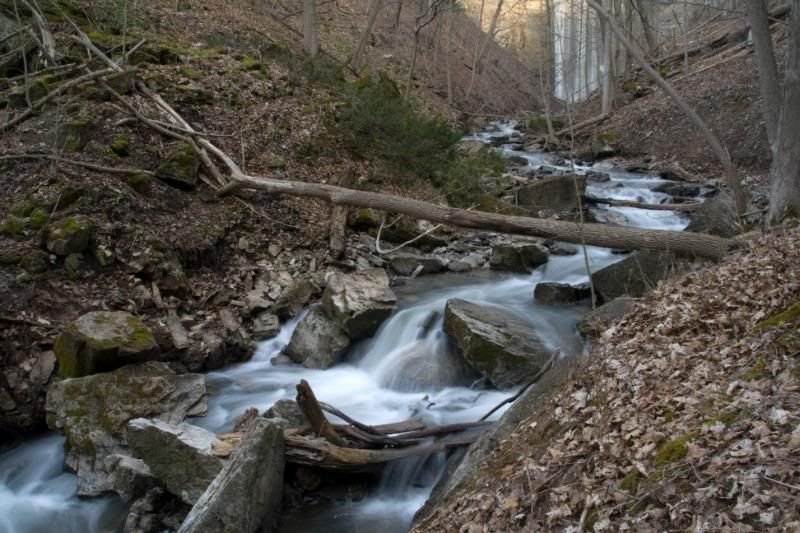 IMAGE: http://i41.photobucket.com/albums/e285/GraphingAddict/IMG_6057.jpg