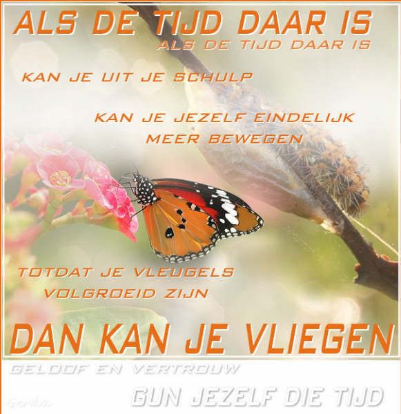 1143729334aavlinder.jpg picture by zwaantjeroelie