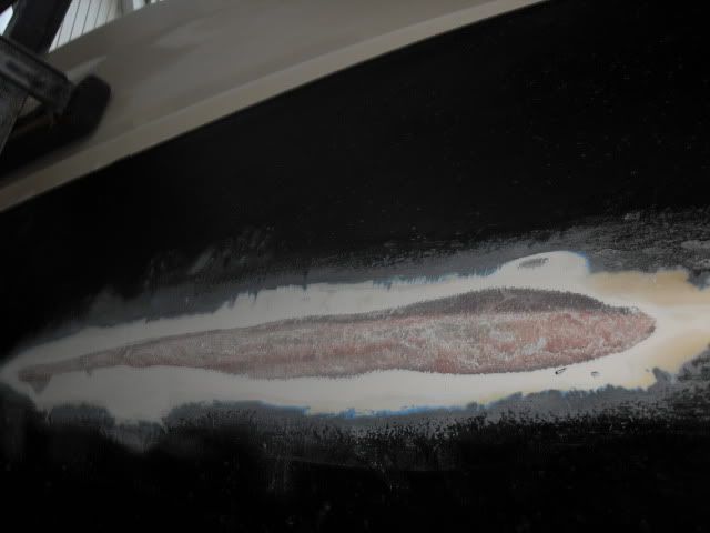SDC11178.jpg