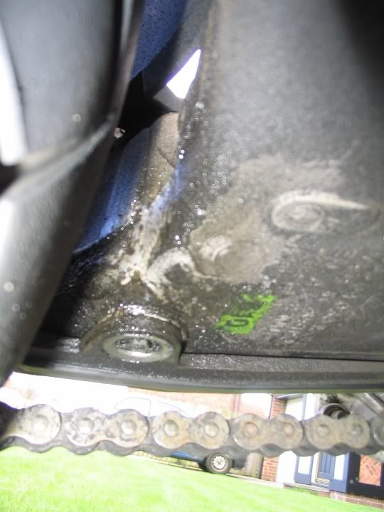 Gutted Rear shock leaking