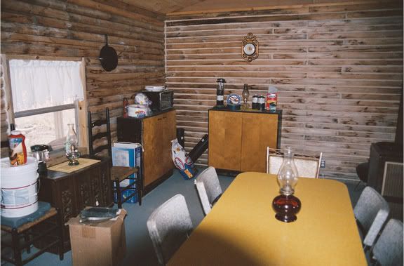 New Pics of my Landscape Timber Log Cabin! - Homesteading Questions