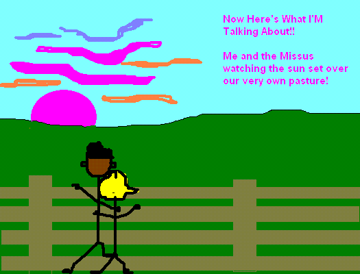 Building my House and Farm (Pics) - Homesteading Questions