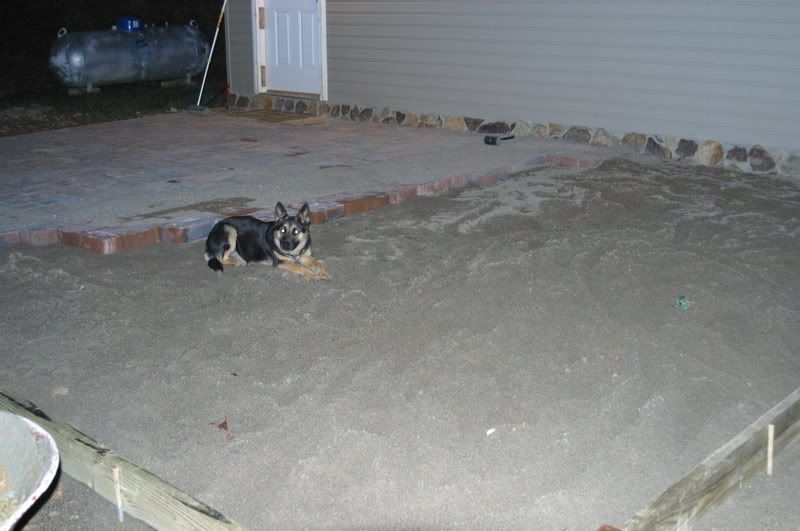 Anyone ever laid Paving Stones? - Homesteading Questions