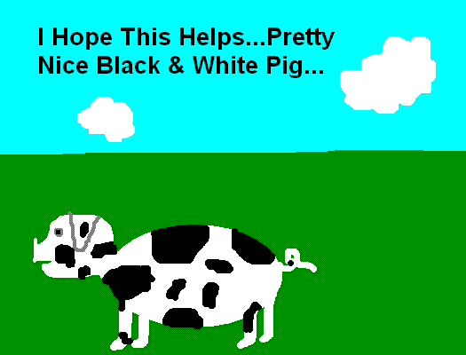 Request for pic of b&w spotted pig - Breyer - Homesteading Questions