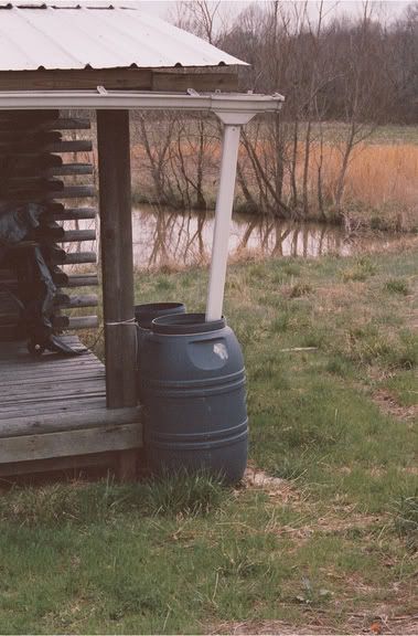 rain barrels - Homesteading Questions
