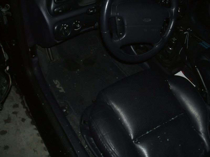 DSCF0732.jpg